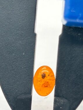 Genuine Baltic Amber Loose Stone